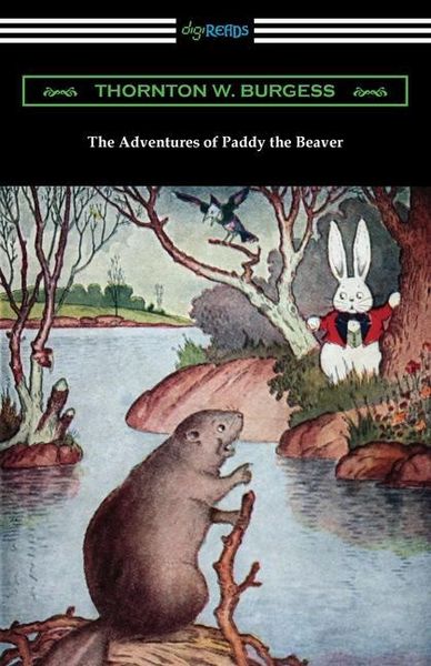 Produktbild: The Adventures of Paddy the Beaver