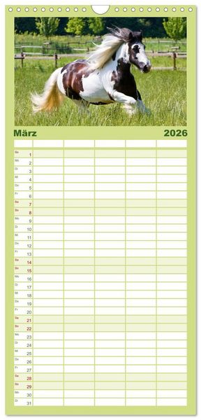 Produktbild: Familienplaner 2026 - Irish Tinker mit 5 Spalten (Wandkalender, 21 x 45 cm) CALVENDO