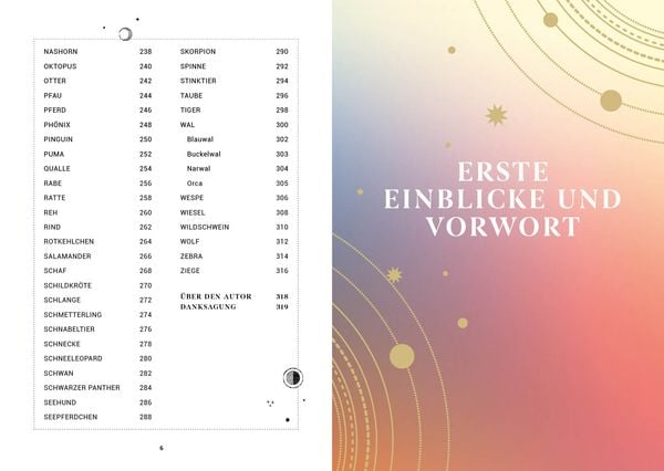 Praxisbuch Schamanische Krafttiere – Entdecke deine Seelenbegleiter