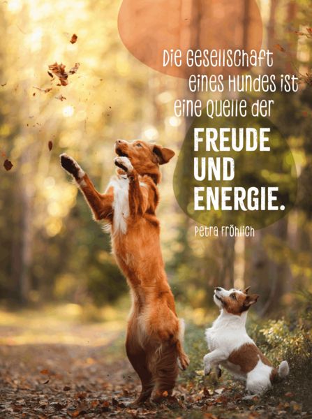 Produktbild: Hunde sind die besten Freunde