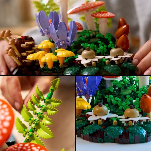 Produktbild: LEGO Botanicals 11505 Waldpilze, Modellbau f&uuml;r Erwachsene