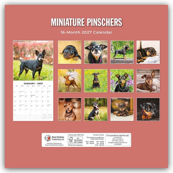 Produktbild: Miniature Pinschers &ndash; Zwergpinscher &ndash; Rehpinscher 2027 &ndash; 16-Monatskalender