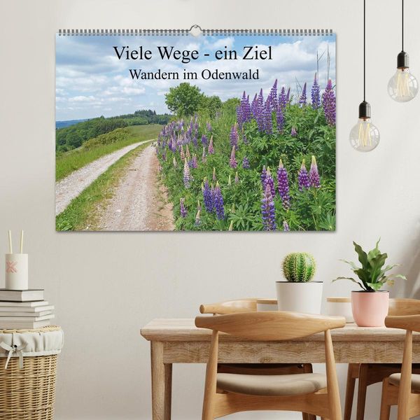 Produktbild: Viele Wege - ein Ziel Wandern im Odenwald (Wandkalender 2026 DIN A2 quer), CALVENDO Monatskalender