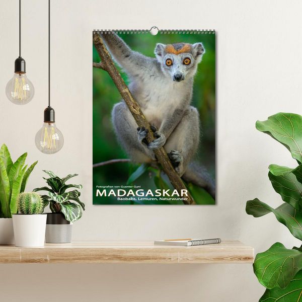 Produktbild: MADAGASKAR: Baobabs, Lemuren, Naturwunder (Wandkalender 2026 DIN A3 hoch), CALVENDO Monatskalender