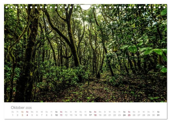 Produktbild: La Gomera &ndash; Die gr&uuml;ne Perle der Kanaren. (Wandkalender 2026 DIN A4 quer), CALVENDO Monatskalender