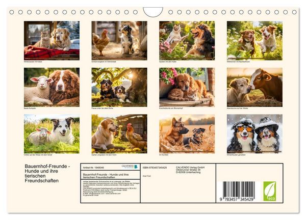 Produktbild: Bauernhof-Freunde - Hunde und ihre tierischen Freundschaften (Wandkalender 2026 DIN A4 quer), CALVENDO Monatskalender