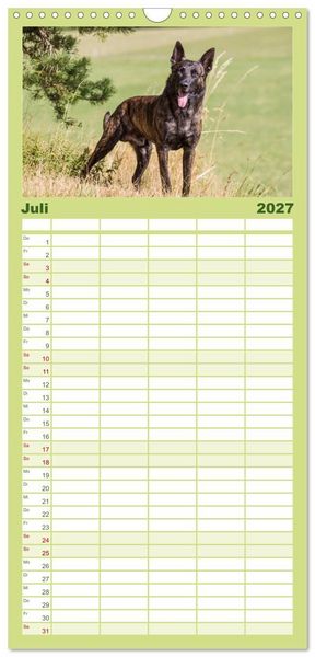 Produktbild: Familienplaner 2027 - ausdrucksvolle Holl&auml;ndische Sch&auml;ferhunde mit 5 Spalten (Wandkalender, 21 x 45 cm) CALVENDO