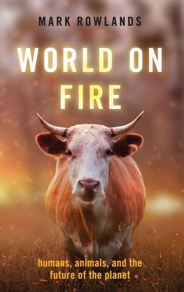 Produktbild: World on Fire