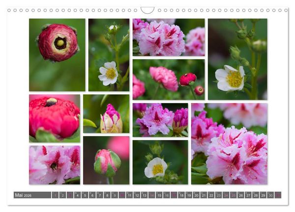 Produktbild: Naturcollagen 2026 (Wandkalender 2026 DIN A3 quer), CALVENDO Monatskalender