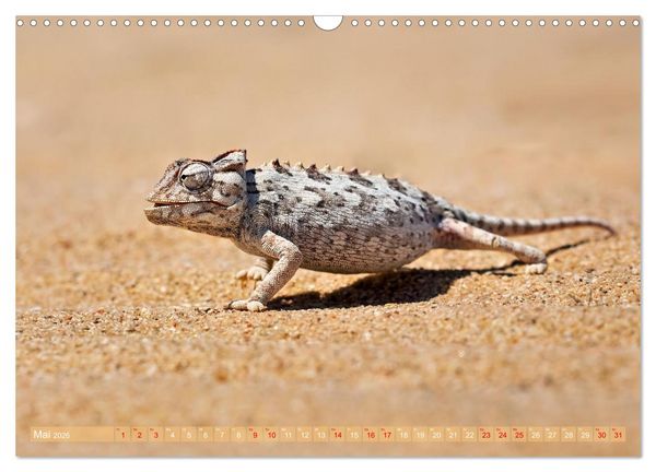 Produktbild: Namibias faszinierende Tierwelt (Wandkalender 2026 DIN A3 quer), CALVENDO Monatskalender