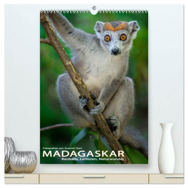 Produktbild: MADAGASKAR: Baobabs, Lemuren, Naturwunder (hochwertiger Premium Wandkalender 2026 DIN A2 hoch), Kunstdruck in Hochglanz