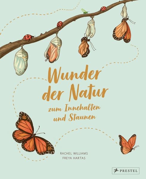 Produktbild: Wunder der Natur zum Innehalten und Staunen