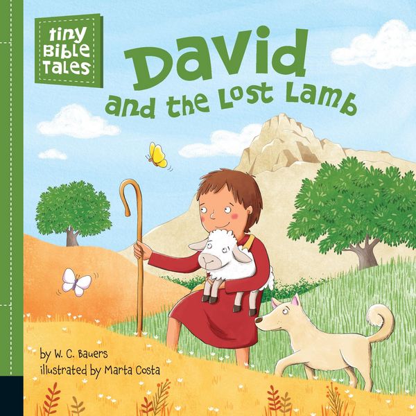Produktbild: David and the Lost Lamb