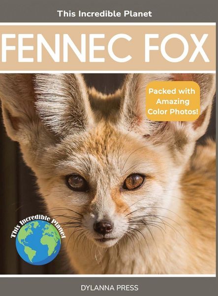 Produktbild: Fennec Fox