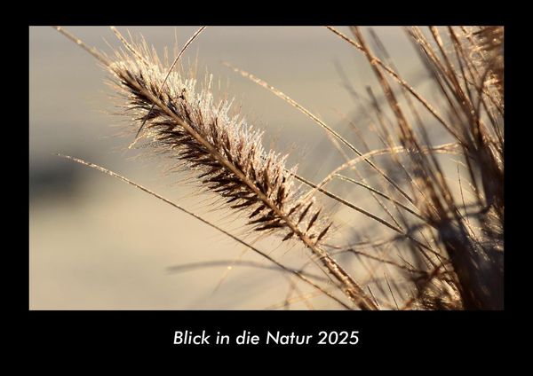 Produktbild: Blick in die Natur 2025 Fotokalender DIN A3