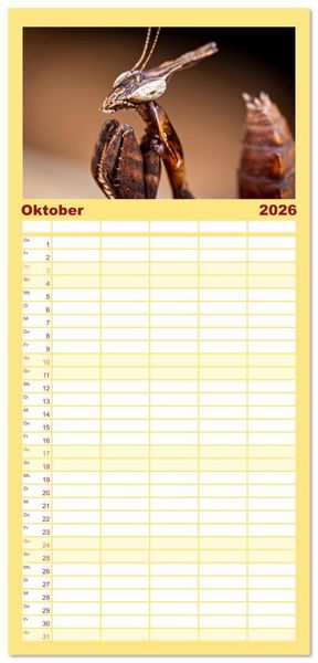 Produktbild: Familienplaner 2026 - Im Bann der Mantis mit 5 Spalten (Wandkalender, 21 x 45 cm) CALVENDO