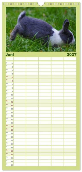Produktbild: Familienplaner 2027 - Liebenswerte Zwergkaninchen mit 5 Spalten (Wandkalender, 21 x 45 cm) CALVENDO