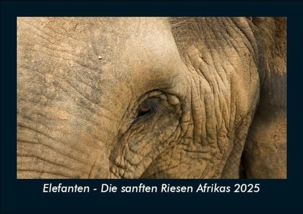 Produktbild: Elefanten - Die sanften Riesen Afrikas 2025 Fotokalender DIN A5