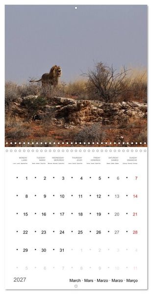 Produktbild: Adventure South Africa 2027 (Wall Calendar 2027 12 &times; 12 Inch) CALVENDO 12 Month Wall Calendar