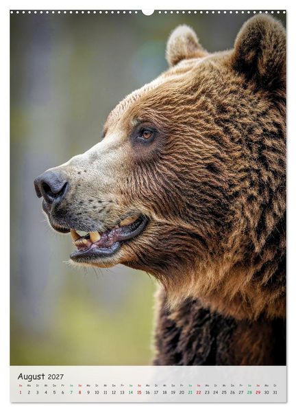 Produktbild: Grizzlyb&auml;ren und Lachse (Wandkalender 2027 DIN A2 hoch), CALVENDO Monatskalender