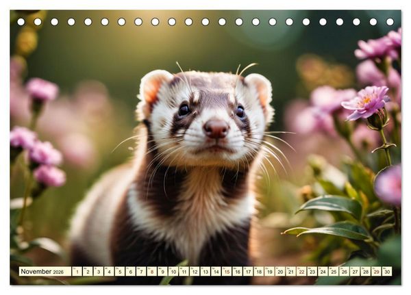Produktbild: Die Familie der Marder (Tischkalender 2026 DIN A5 quer), CALVENDO Monatskalender