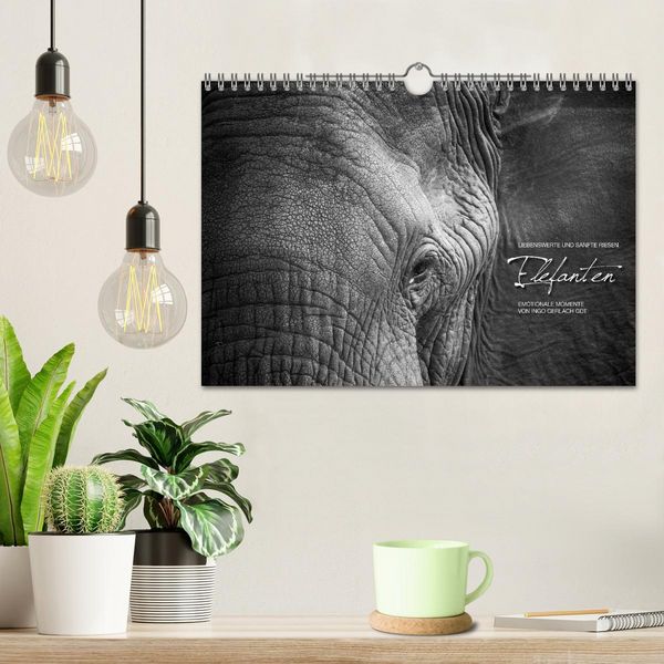 Produktbild: Emotionale Momente: Elefanten in black & white (Wandkalender 2026 DIN A4 quer), CALVENDO Monatskalender
