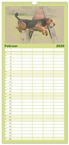 Produktbild: Familienplaner 2026 - Airedale Terrier 2026 mit 5 Spalten (Wandkalender, 21 x 45 cm) CALVENDO