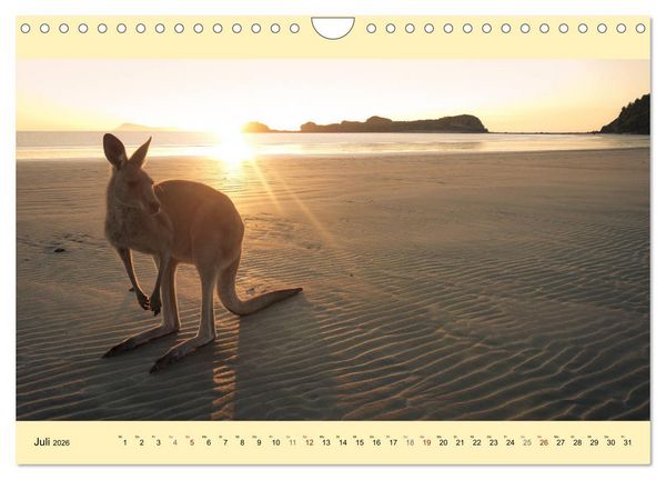 Produktbild: Australien - Der vielseitige Osten (Wandkalender 2026 DIN A4 quer), CALVENDO Monatskalender