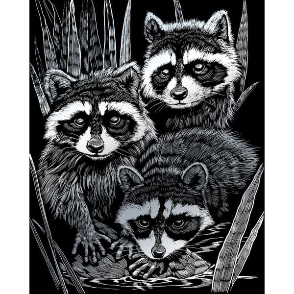 Produktbild: PRACHT Kratzbild Waschb&auml;ren silber 20x25cm