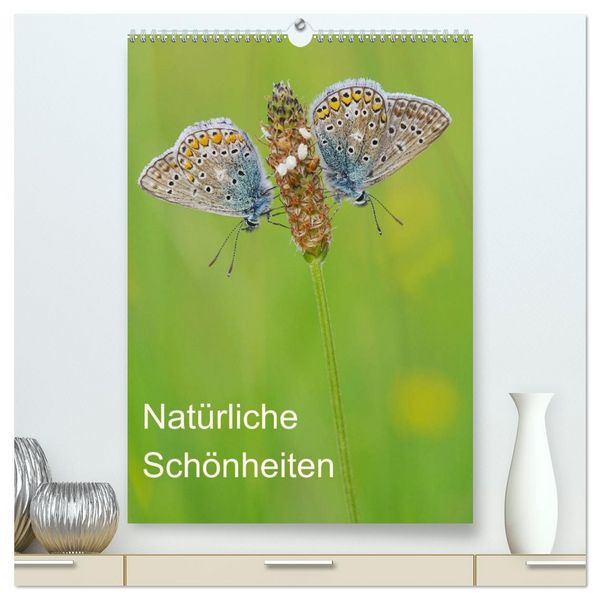 Produktbild: Insekten,Sch&ouml;nheiten der Natur (hochwertiger Premium Wandkalender 2026 DIN A2 hoch), Kunstdruck in Hochglanz