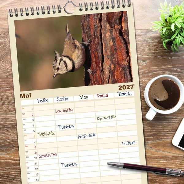 Produktbild: Familienplaner 2027 - V&ouml;gel ganz nah mit 5 Spalten (Wandkalender, 21 x 45 cm) CALVENDO