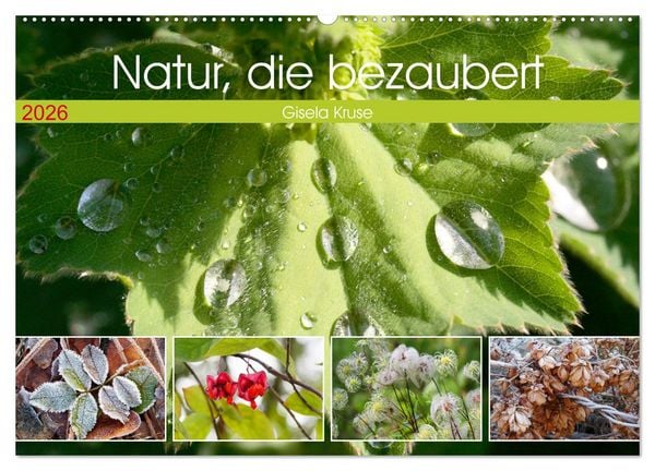 Produktbild: Natur, die bezaubert (Wandkalender 2026 DIN A2 quer), CALVENDO Monatskalender