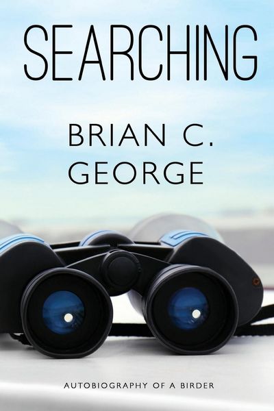 Produktbild: Searching - Volume One
