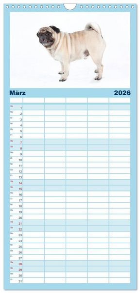 Produktbild: Familienplaner 2026 - Mops - unwiderstehlich und charmant mit 5 Spalten (Wandkalender, 21 x 45 cm) CALVENDO