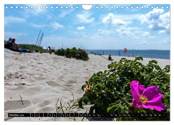 Produktbild: Magisches Sylt (Wandkalender 2026 DIN A4 quer), CALVENDO Monatskalender
