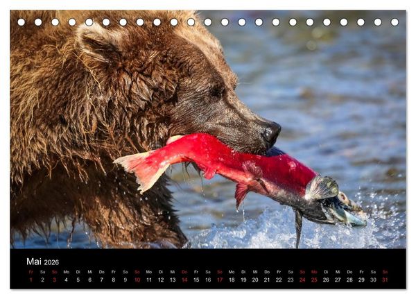 Produktbild: Alaska 2026 Wildes Land am Ende der Welt (Tischkalender 2026 DIN A5 quer), CALVENDO Monatskalender