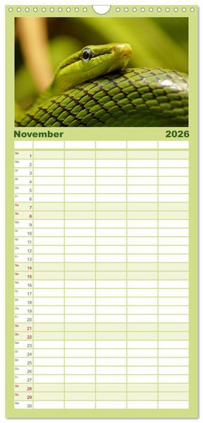Produktbild: Familienplaner 2026 - Reptilien & Amphibien Portraits mit 5 Spalten (Wandkalender, 21 x 45 cm) CALVENDO