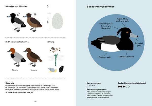 Produktbild: Ornithorama