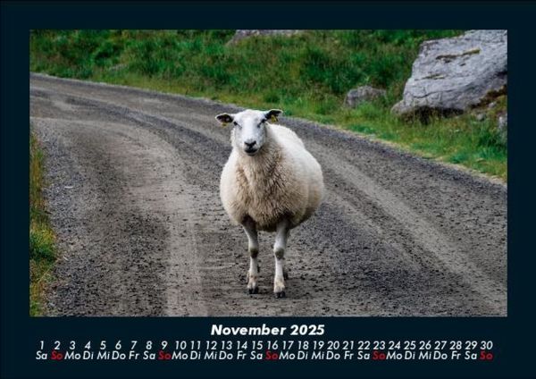 Produktbild: Welt der Tiere 2025 Fotokalender DIN A5