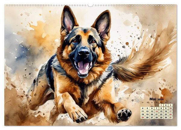 Produktbild: Deutsche Sch&auml;ferhunde - Klassiker rund um den Globus (hochwertiger Premium Wandkalender 2026 DIN A2 quer), Kunstdruck in Hochglanz