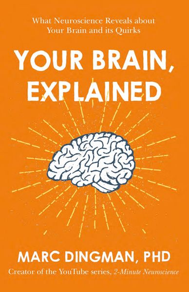 Produktbild: Your Brain, Explained