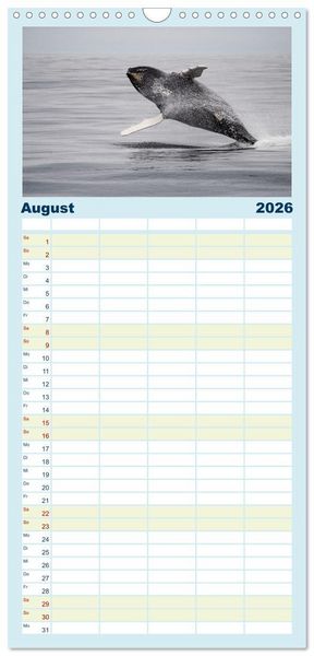 Produktbild: Familienplaner 2026 - Die Wale von Andenes mit 5 Spalten (Wandkalender, 21 x 45 cm) CALVENDO