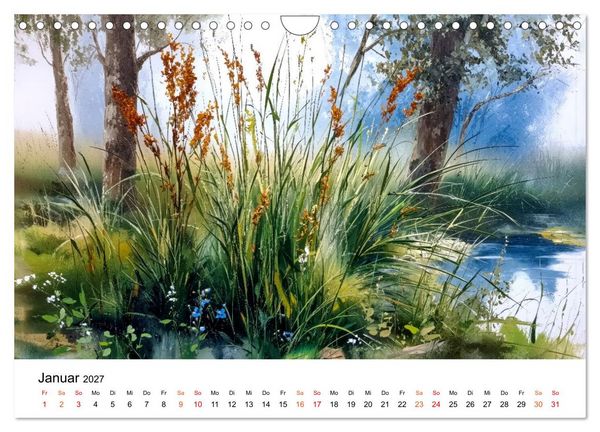 Produktbild: Wildblumen zwischen Moos und Farn (Wandkalender 2027 DIN A4 quer), CALVENDO Monatskalender