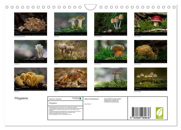Produktbild: Pilzgalerie (Wandkalender 2027 DIN A4 quer), CALVENDO Monatskalender