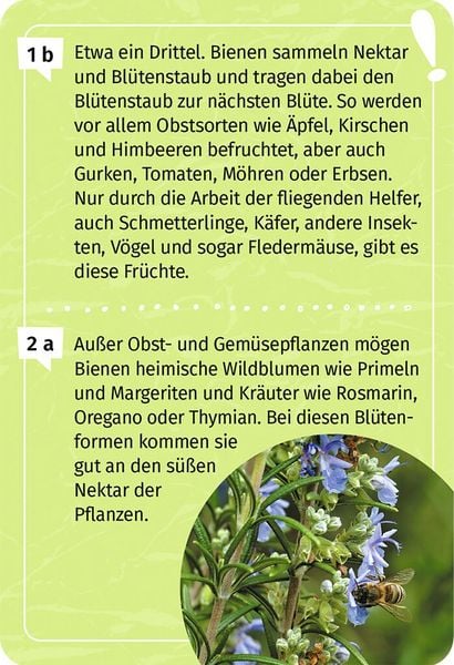 Produktbild: Mein Garten-Forscherquiz
