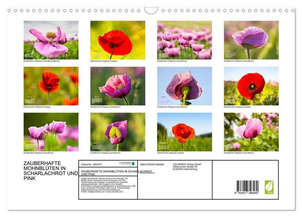 Produktbild: ZAUBERHAFTE MOHNBL&Uuml;TEN IN SCHARLACHROT UND PINK (Wandkalender 2026 DIN A3 quer), CALVENDO Monatskalender