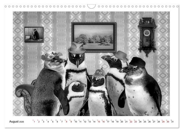 Produktbild: Pinguine privat (Wandkalender 2026 DIN A3 quer), CALVENDO Monatskalender