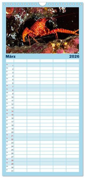 Produktbild: Familienplaner 2026 - Unterwasserwelt Christmas Island mit 5 Spalten (Wandkalender, 21 x 45 cm) CALVENDO