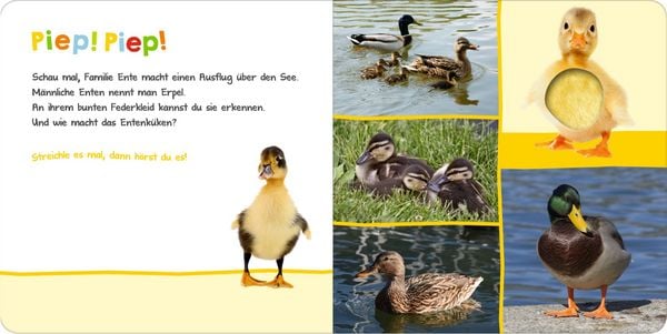 Produktbild: H&ouml;r mal rein, wer kann das sein? &ndash; In der Natur