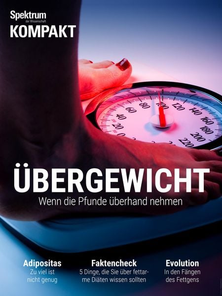 Produktbild: Spektrum Kompakt: Übergewicht